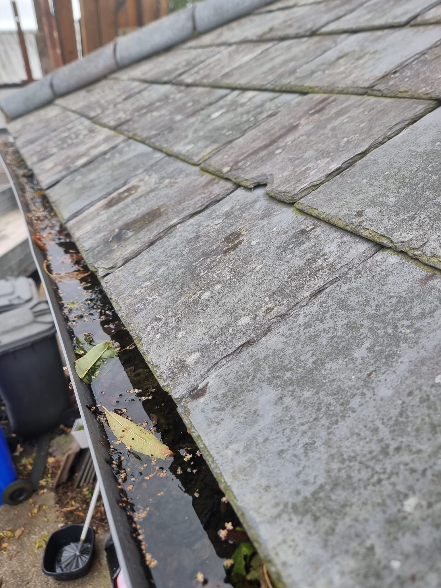 gutter & fascia cleaning in newtownards